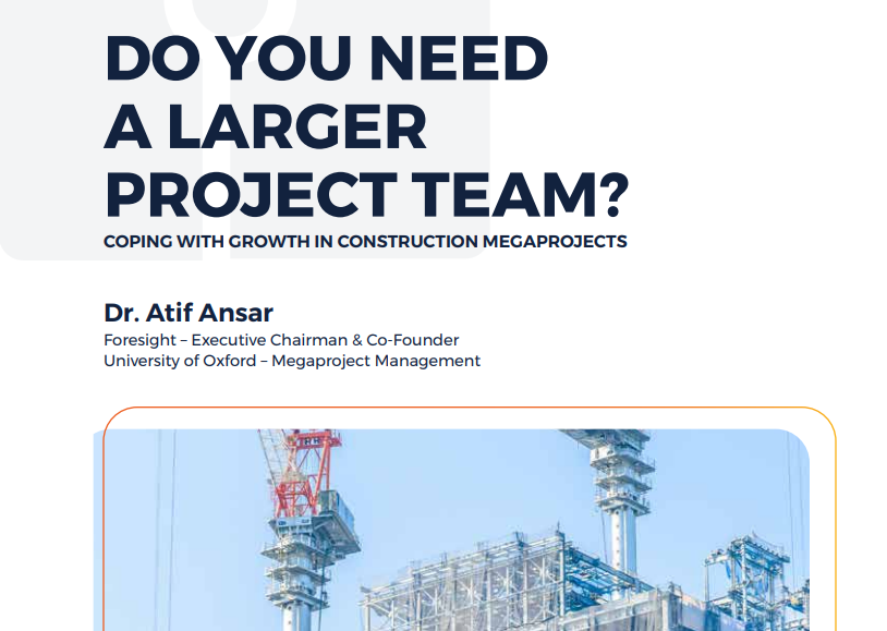 Do You need a Larger Project Team?